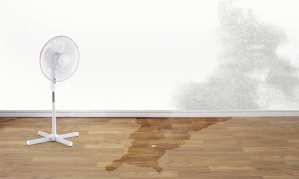 Best Water damage restoration near me  in Richmond, UT