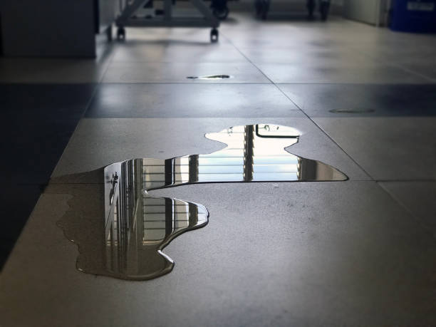 Best 24-hour water damage restoration  in Richmond, UT