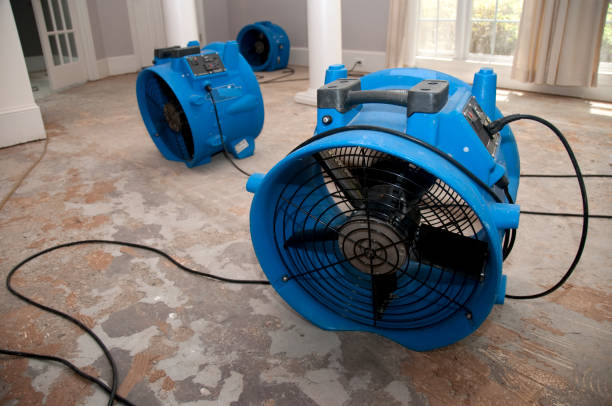 Best Water damage contractors near me  in Richmond, UT