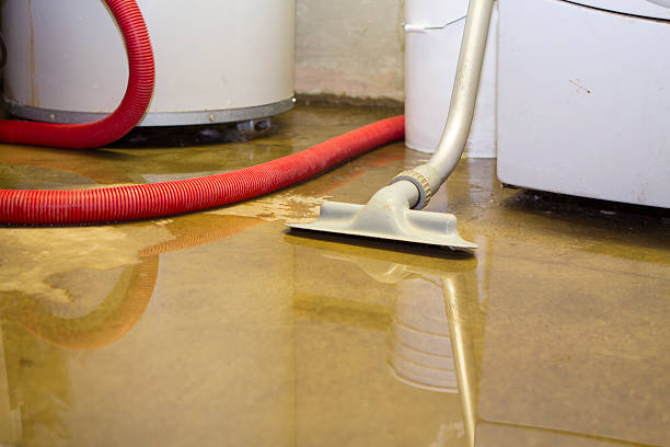 Reliable UT Water damage restoration Solutions