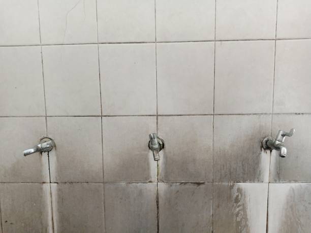 Best Water damage restoration company  in Richmond, UT